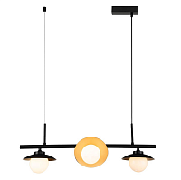 Купить Подвесная люстра Indigo Corazza 10015/4P Black V000281 в Туле