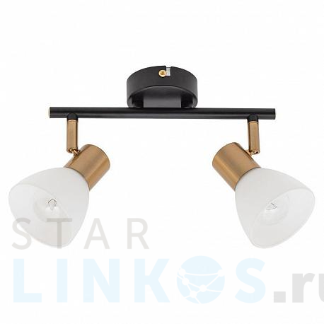 Купить Спот Arte Lamp Falena A3117PL-2BK за 2 390 руб. в Туле фото 2 Купить с доставкой Спот Arte Lamp Falena A3117PL-2BK в Туле фото 2
