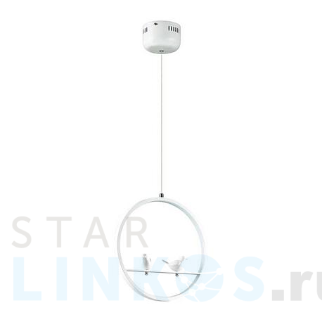 Купить Подвесной светодиодный светильник Lumion Ledio Jasper 3717/18L за 4 790 руб. в Туле фото 2 Купить с доставкой Подвесной светодиодный светильник Lumion Ledio Jasper 3717/18L в Туле фото 2