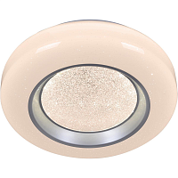 Купить Потолочный светильник Reluce 02098-9.2-60W*2A в Туле