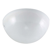 Купить Настенно-потолочный светильник TDM Electric Сириус НПП 03-100-010.12 SQ0311-0011 в Туле