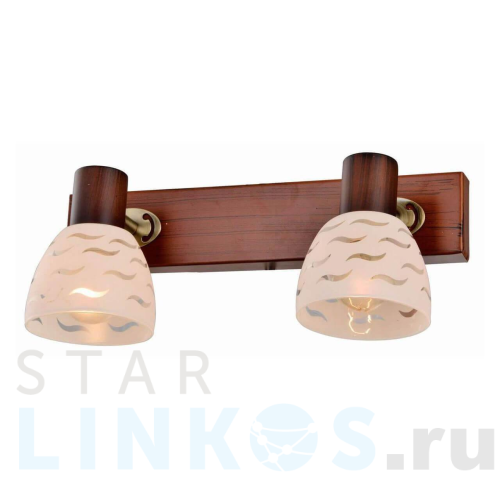 Купить Спот Toplight Shayla TL3730Y-02BB за 2 000 руб. в Туле Купить с доставкой Спот Toplight Shayla TL3730Y-02BB в Туле