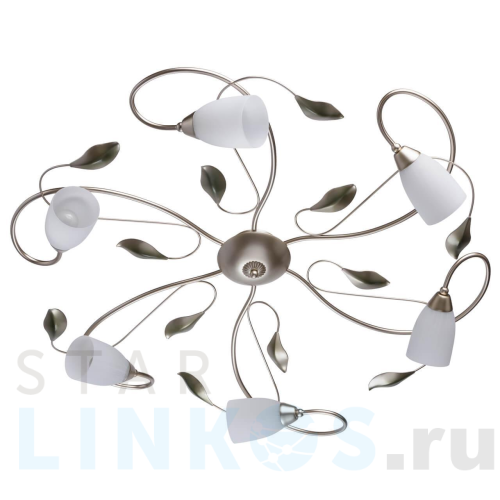 Купить Потолочная люстра MW-Light Верона 334013006 за 26 480 руб. в Туле Купить с доставкой Потолочная люстра MW-Light Верона 334013006 в Туле