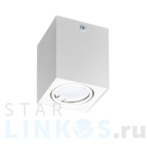 Купить с доставкой Накладной потолочный светильник Ritter Arton 51409 1 в Туле