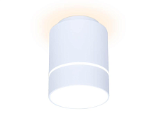 Купить Потолочный светодиодный светильник Ambrella light Techno Spot TN255 в Туле