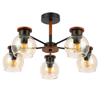 Купить Потолочная люстра Evoluce Rasco SLE108102-05 в Туле