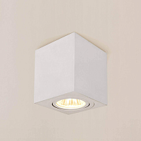 Купить Потолочный светильник Citilux Дюрен CL538211 в Туле