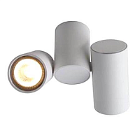 Купить Спот Arte Lamp Gavroche A1511PL-2WH в Туле