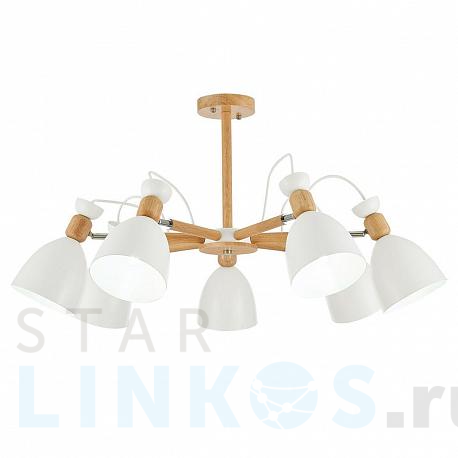 Купить Потолочная люстра Evoluce Balcamo SLE103802-07 за 19 010 руб. в Туле фото 2 Купить с доставкой Потолочная люстра Evoluce Balcamo SLE103802-07 в Туле фото 2