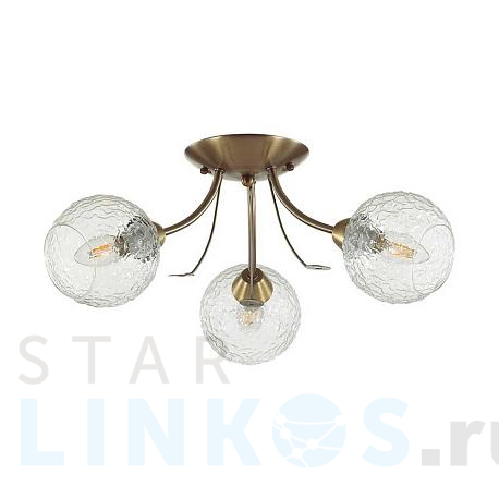 Купить Потолочная люстра Lumion Comfi Tula 5266/3C за 2 700 руб. в Туле фото 2 Купить с доставкой Потолочная люстра Lumion Comfi Tula 5266/3C в Туле фото 2