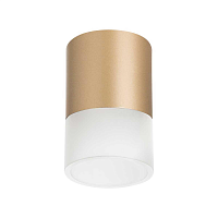 Купить Потолочный светильник Lightstar Rullo (213490+202481) R349081 в Туле