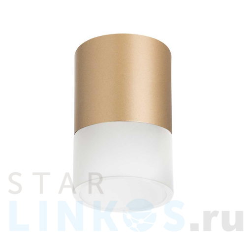 Купить с доставкой Потолочный светильник Lightstar Rullo (213490+202481) R349081 в Туле