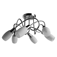 Купить Потолочная люстра Arte Lamp A4591PL-6SS в Туле