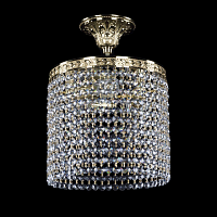 Купить Потолочная люстра Bohemia Ivele 19201/25IV G R в Туле