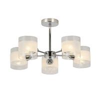 Купить Потолочная люстра Evoluce Miento SLE102802-05 в Туле