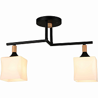 Купить Потолочный светильник Reluce 04609-0.3-02 в Туле