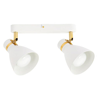 Купить Спот Arte Lamp Fafnir A5047PL-2WH в Туле