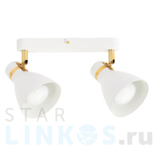 Купить Спот Arte Lamp Fafnir A5047PL-2WH за 2 390 руб. в Туле Купить с доставкой Спот Arte Lamp Fafnir A5047PL-2WH в Туле