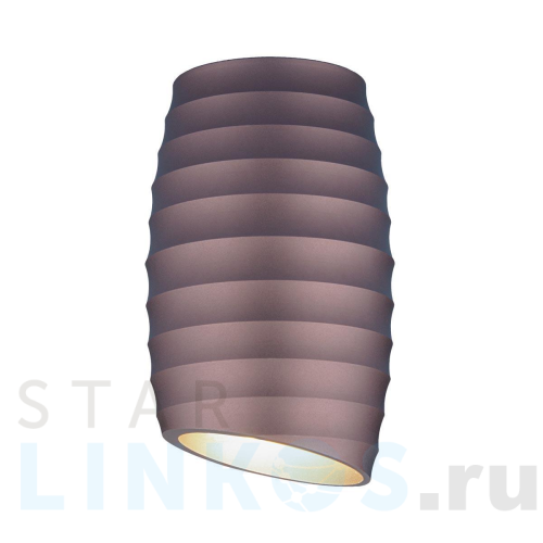 Купить Потолочный светильник Elektrostandard DLN105 GU10 коричневый a047728 за 1 410 руб. в Туле Купить с доставкой Потолочный светильник Elektrostandard DLN105 GU10 коричневый a047728 в Туле