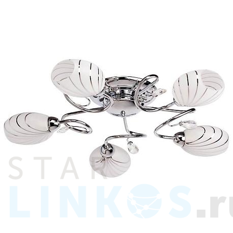 Купить Потолочная люстра MW-Light Фиеста 267011705 за 15 950 руб. в Туле фото 2 Купить с доставкой Потолочная люстра MW-Light Фиеста 267011705 в Туле фото 2