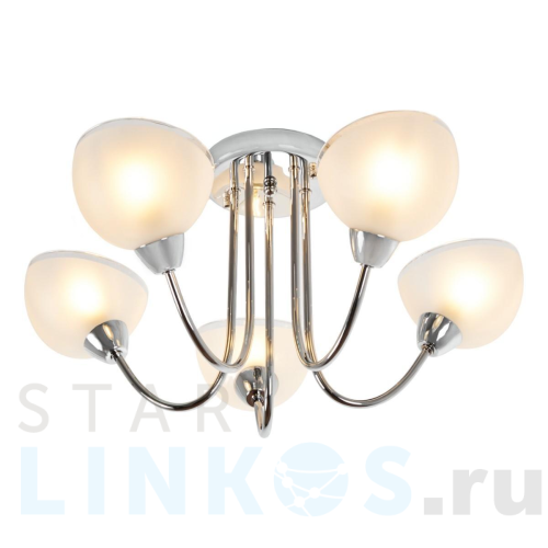 Купить Потолочная люстра MyFar Ekaterina MR1291-5C за 15 395 руб. в Туле Купить с доставкой Потолочная люстра MyFar Ekaterina MR1291-5C в Туле