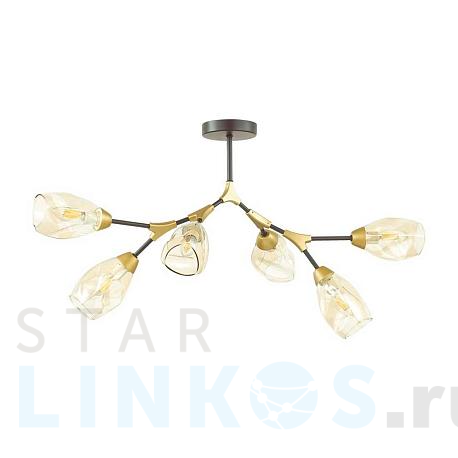 Купить Потолочная люстра Lumion Moderni Fawn 4563/6C за 5 800 руб. в Туле фото 2 Купить с доставкой Потолочная люстра Lumion Moderni Fawn 4563/6C в Туле фото 2