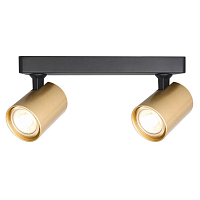 Купить Спот Crystal Lux CLT 017CW2 L250 BL-GO в Туле