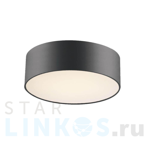 Купить Потолочный светильник Favourite Cerchi 1514-2C за 10 900 руб. в Туле Купить с доставкой Потолочный светильник Favourite Cerchi 1514-2C в Туле