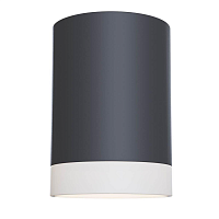 Купить Потолочный светильник Maytoni Pauline C008CW-01B в Туле