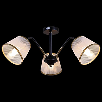 Купить Потолочная люстра Illumico IL0344-3CSQ-79 BK AB в Туле