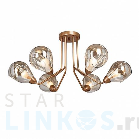 Купить Потолочная люстра Vitaluce V4868-8/6PL за 9 528 руб. в Туле фото 2 Купить с доставкой Потолочная люстра Vitaluce V4868-8/6PL в Туле фото 2