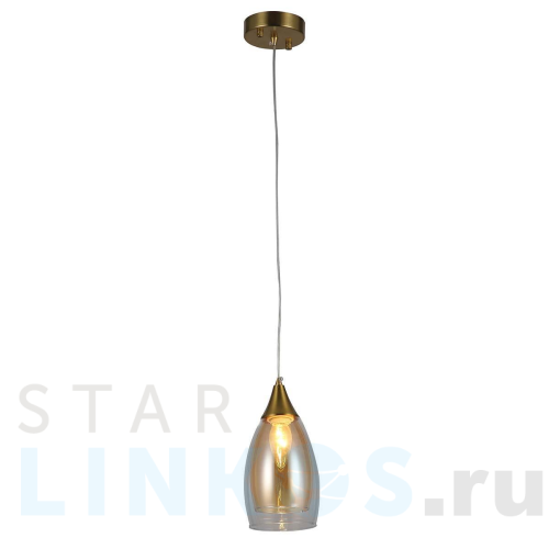 Купить Подвесной светильник Rivoli Aileen 3193-201 Б0055668 за 3 797 руб. в Туле Купить с доставкой Подвесной светильник Rivoli Aileen 3193-201 Б0055668 в Туле