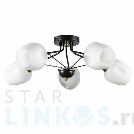 Купить Потолочная люстра Arte Lamp Brighton A2706PL-5CK за 6 490 руб. в Туле фото 2 Купить с доставкой Потолочная люстра Arte Lamp Brighton A2706PL-5CK в Туле фото 2