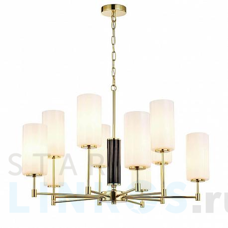 Купить Подвесная люстра Favourite Palmarius 2815-10P за 60 300 руб. в Туле фото 2 Купить с доставкой Подвесная люстра Favourite Palmarius 2815-10P в Туле фото 2