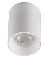 Купить Потолочный светильник Denkirs DK3110-WH в Туле