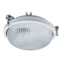 Купить Настенно-потолочный светильник TDM Electric Рыбий глаз НПП 03-100-020.01 SQ0311-0006 в Туле
