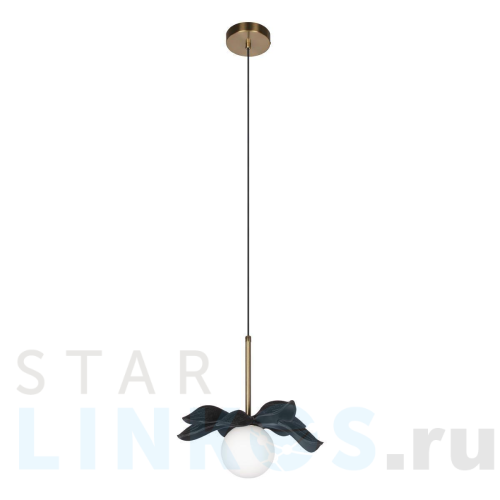 Купить Подвесной светильник Loft IT Monro 10213/A Black за 5 820 руб. в Туле Купить с доставкой Подвесной светильник Loft IT Monro 10213/A Black в Туле