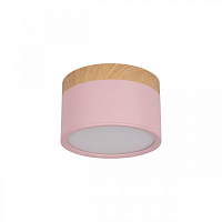 Купить Накладной светодиодный светильник Loft IT Grape 10162 Pink в Туле