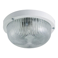 Купить Настенно-потолочный светильник TDM Electric НПП 03-60-001 SQ0311-0023 в Туле