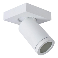 Купить Спот Lucide Taylor 09930/05/31 в Туле