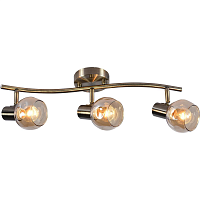 Купить Спот Reluce 05972-0.8-03 AB в Туле