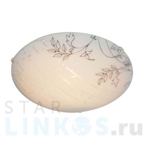 Купить Настенно-потолочный светильник Apeyron 16-183 за 676 руб. в Туле Купить с доставкой Настенно-потолочный светильник Apeyron 16-183 в Туле