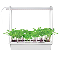 Купить Светодиодный светильник для растений Uniel Minigarden ULT-P34-10W/SPSB IP40 White 12 UL-00004149 в Туле