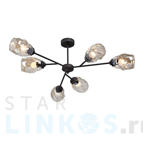 Купить Потолочная люстра Vitaluce V3958-1/6PL за 10 277 руб. в Туле фото 2 Купить с доставкой Потолочная люстра Vitaluce V3958-1/6PL в Туле фото 2