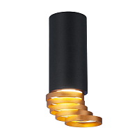 Купить Потолочный светильник Elektrostandard DLN102 GU10 черный/золото a047747 в Туле