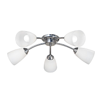 Купить Потолочная люстра Vitaluce V3944-9/5PL в Туле