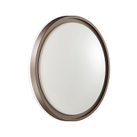 Купить Настенно-потолочный светодиодный светильник Sonex Pale Navil 3044/DL в Туле