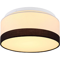 Купить Потолочный светодиодный светильник Globo Maggy 15385D в Туле