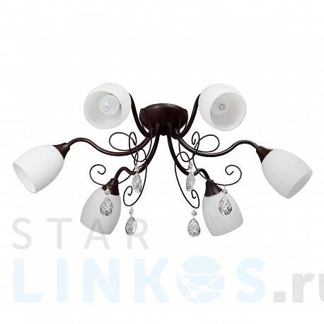 Купить Потолочная люстра Vitaluce V1472/6PL за 4 942 руб. в Туле фото 2 Купить с доставкой Потолочная люстра Vitaluce V1472/6PL в Туле фото 2