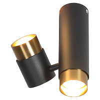 Купить Потолочный светильник Lussole Loft Koyukuk LSP-8378 в Туле